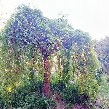 Casa Con Jardin Y Aparcamiento En Viznar, Junto A Granada Βίλα Εξωτερικό φωτογραφία