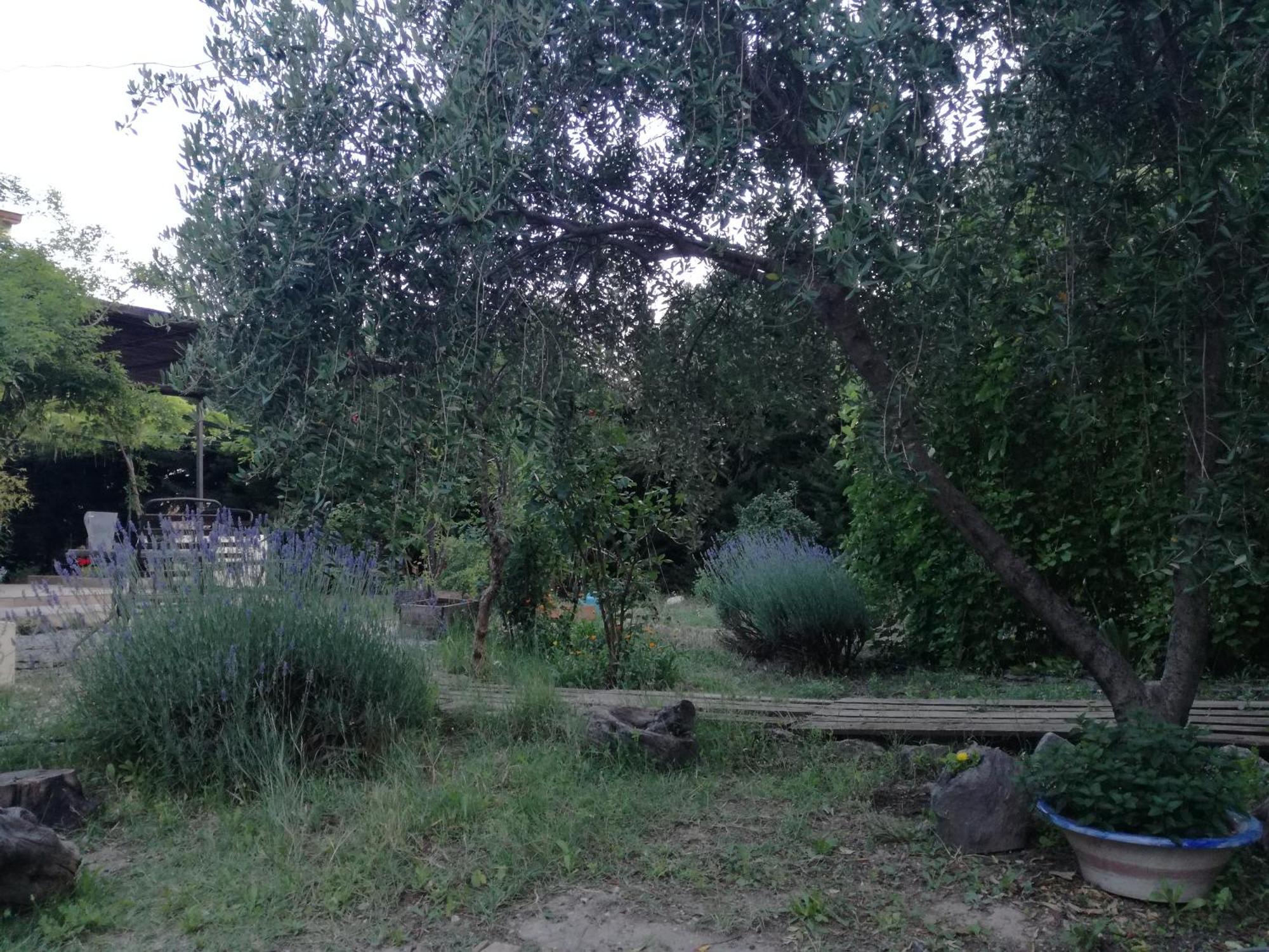 Casa Con Jardin Y Aparcamiento En Viznar, Junto A Granada Βίλα Εξωτερικό φωτογραφία