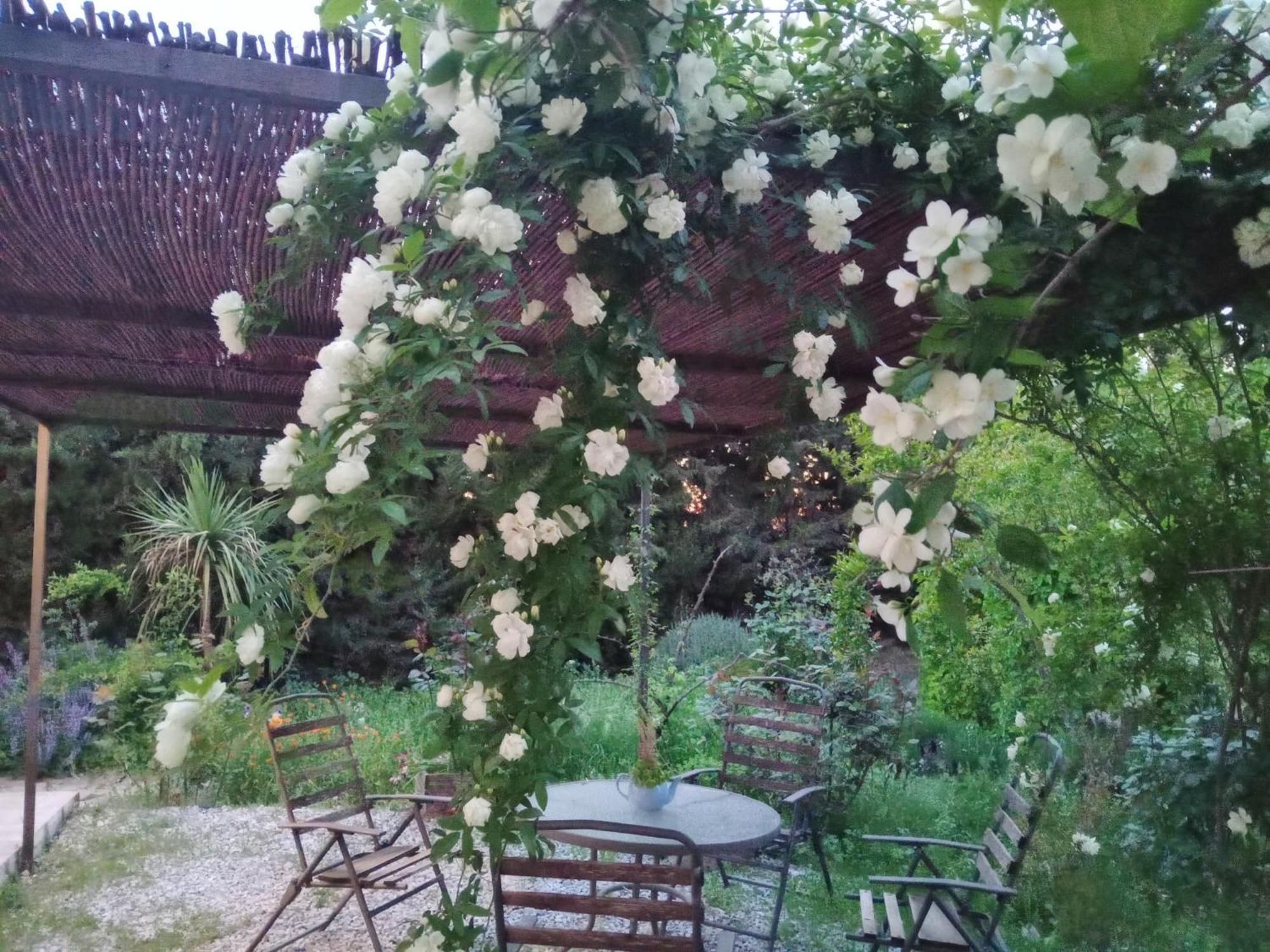 Casa Con Jardin Y Aparcamiento En Viznar, Junto A Granada Βίλα Εξωτερικό φωτογραφία