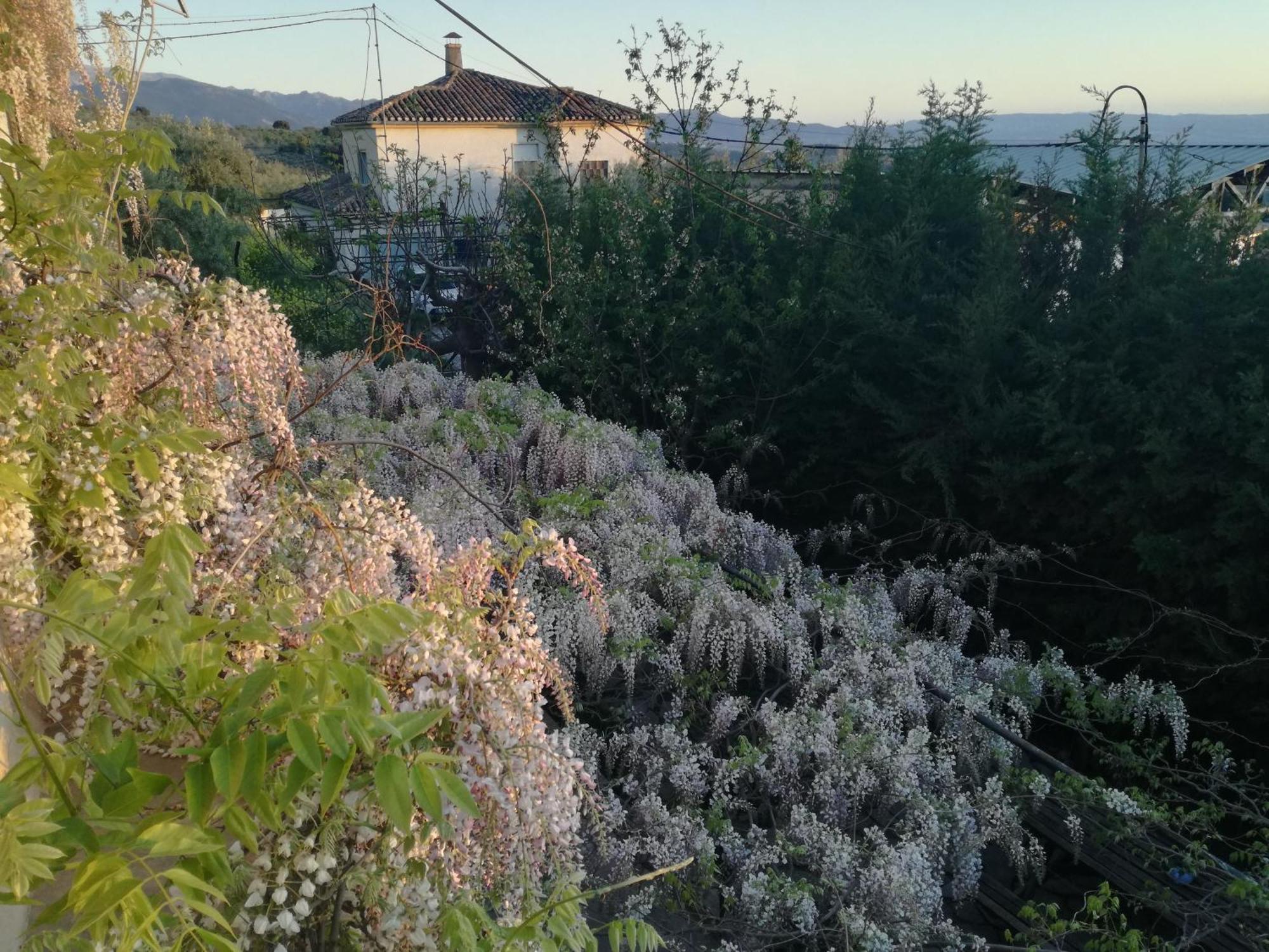 Casa Con Jardin Y Aparcamiento En Viznar, Junto A Granada Βίλα Εξωτερικό φωτογραφία